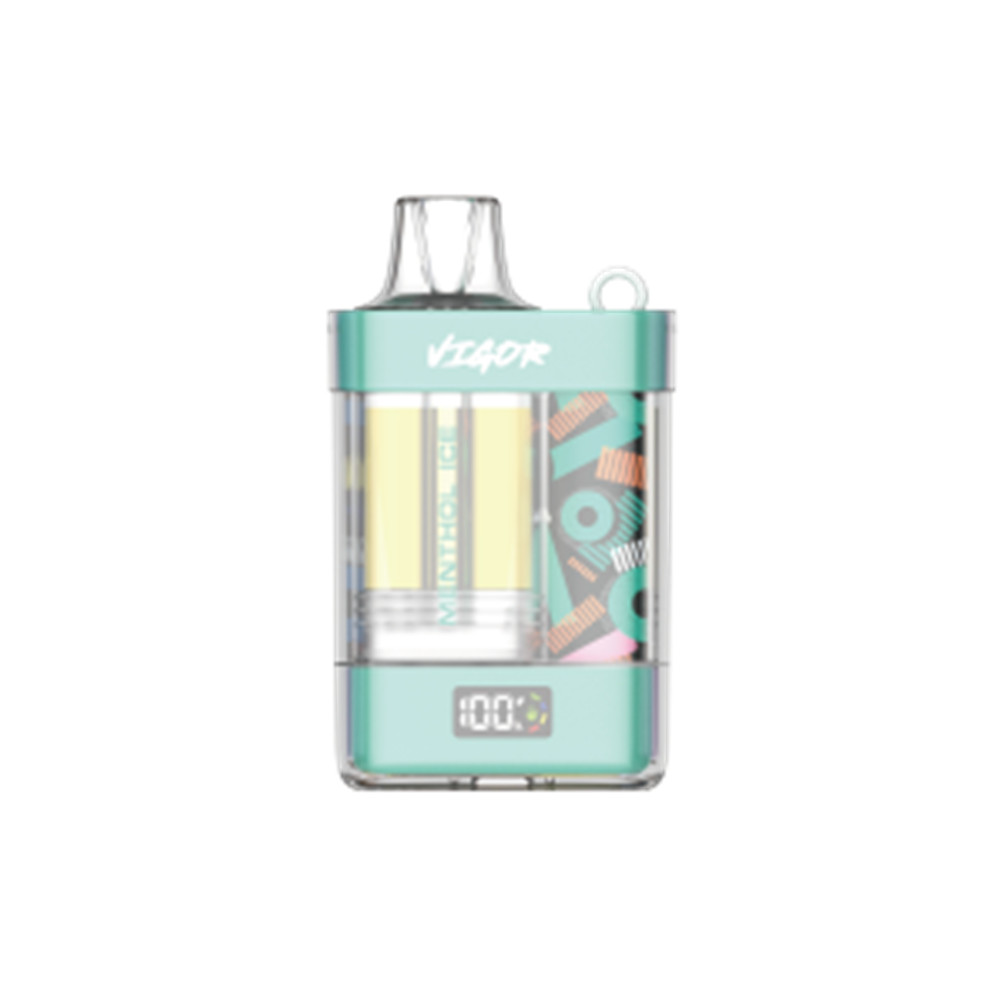 LAVIE VIGOR 15000 Puffs Disposable Vape Menthol Ice