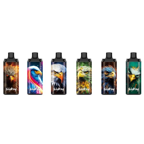 LAVIE Skyking 40000 Puffs Disposable product main image 6flavors